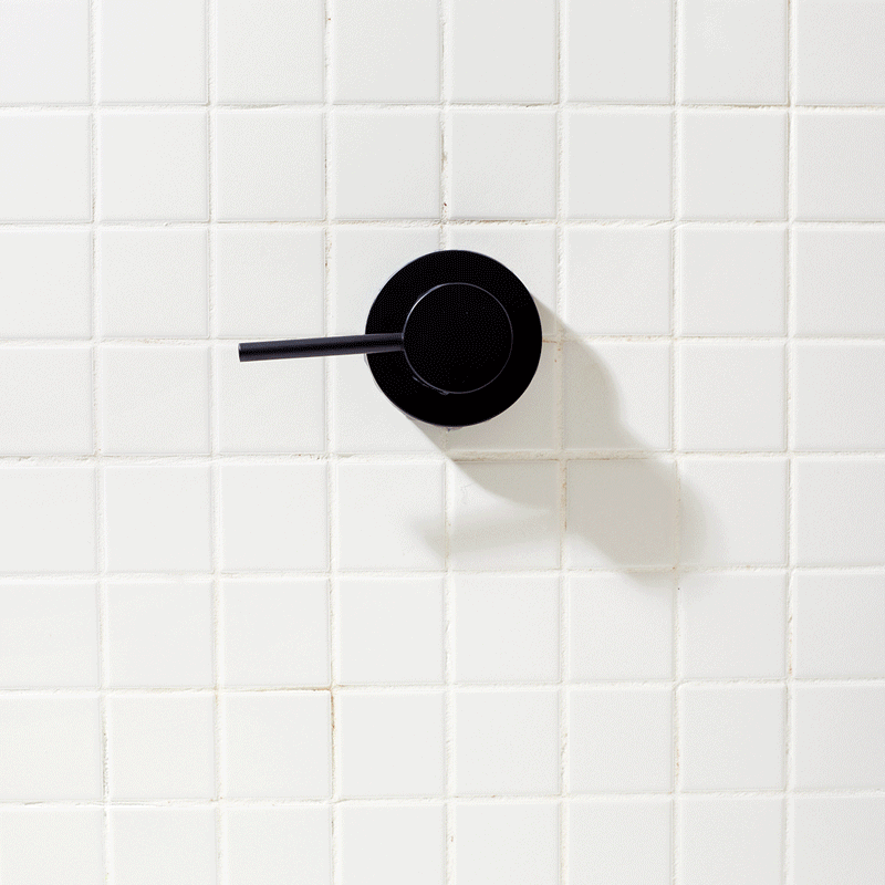 60534-BodyWashBeautyBarBag-BottleFreeBeauty-Chocolate-1x1-1.gif